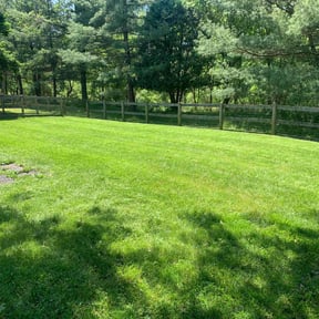 Cleanups by Caesar’s Premier Landscaping reviewed on June 7, 2022