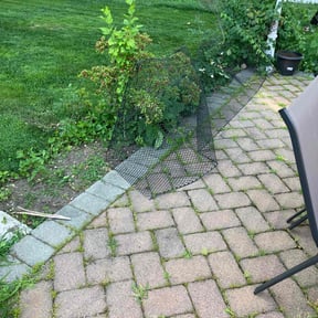 Bush Trimming by Sunrise Lawn Care reviewed on July 13, 2022