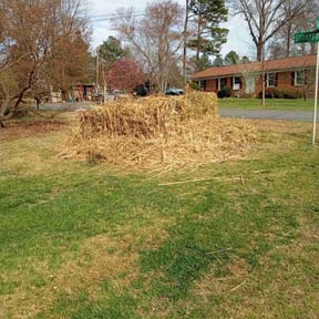 Bush Trimming by Walla lawns reviewed on June 18, 2025