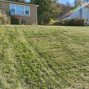 Flower Bed Weeding by Ground effects reviewed on June 2, 2022
