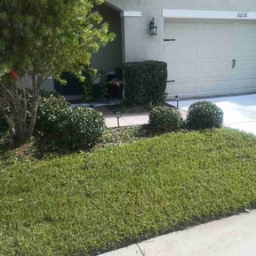 Bush Trimming by Edward's Lawn Care reviewed on August 4, 2022
