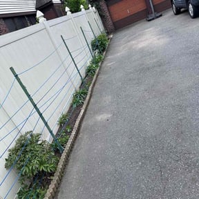 Leaf Removal by Magnificent art trimming & rendering yards reviewed on July 7, 2022