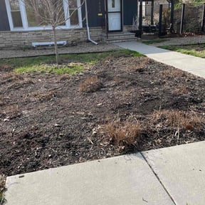 Cleanups by Clark and son lawn care reviewed on June 23, 2022