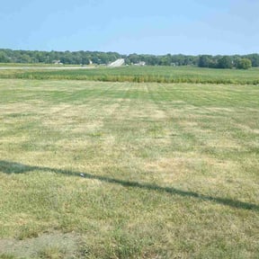 Bush Trimming by Up Cut Lawn Care reviewed on August 12, 2021
