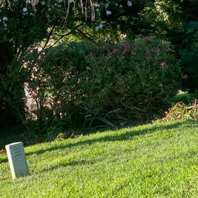 Bush Trimming by L. Duran Lawn Maintenance reviewed on July 8, 2020