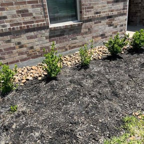 Flower Bed Weeding by DMD LAWN SVC reviewed on June 5, 2025