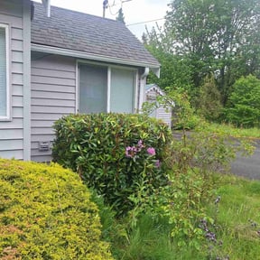 Bush Trimming by ACA LANDSCAPING reviewed on June 9, 2022