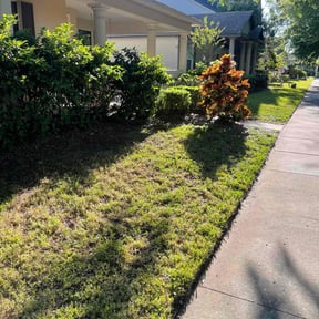 Leaf Removal by Dee lawn service reviewed on October 1, 2021