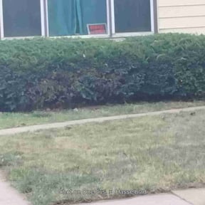 Bush Trimming by POLY- CLEAN LLC reviewed on May 2, 2025