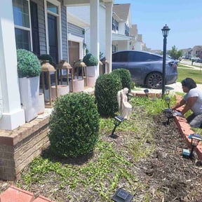 Bush Trimming by Unknown reviewed on August 3, 2024