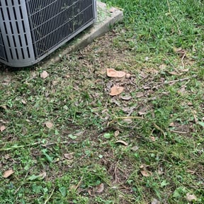 Bush Trimming by R &amp;M landscaping. reviewed on March 13, 2025