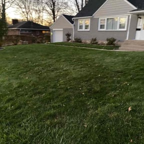 Leaf Removal by TLG LAWN SERVICE  reviewed on June 11, 2020