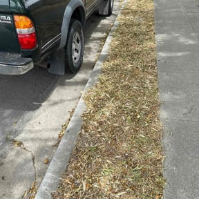 Leaf Removal by Brother's Irrigation and Landscaping reviewed on May 11, 2022