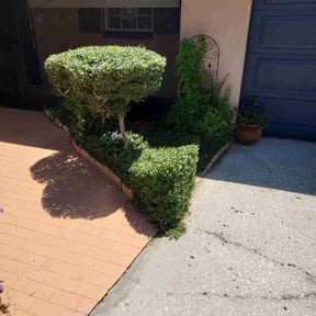 Bush Trimming by Cut Rite Lawn Service & Property Maintenance LLC reviewed on April 1, 2025