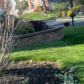 Leaf Removal by CJ lawnscapes reviewed on August 3, 2022