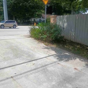 Bush Trimming by Superior Landscape Surgeon reviewed on October 5, 2024