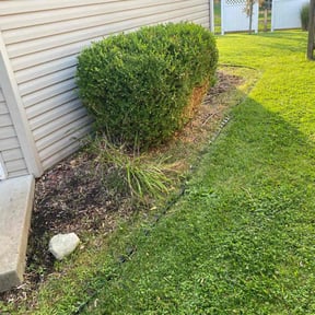 Flower Bed Weeding by Miller lawn Techs reviewed on June 14, 2022
