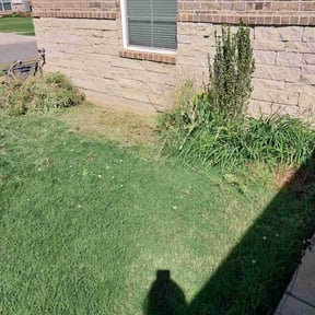 Flower Bed Weeding by LSLTDallas/FortWorthTruGreen reviewed on March 24, 2025