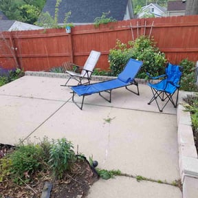 Leaf Removal by Let's go mow reviewed on July 3, 2022