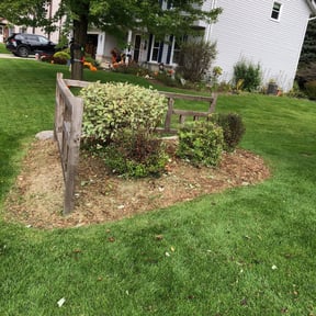 Bush Trimming by Walt's Lawn Care reviewed on April 27, 2022