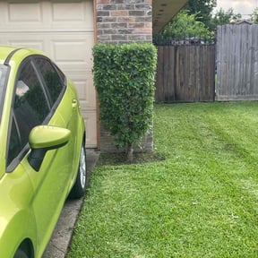 Bush Trimming by Fresh Cut Yard Workz reviewed on November 10, 2021