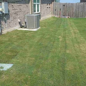 Cleanups by HM's Superior Landscape & Design reviewed on July 12, 2022