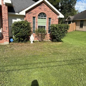 Bush Trimming by C&L landscaping reviewed on May 21, 2022