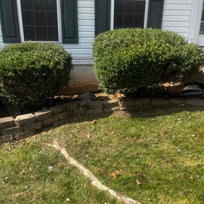 Bush Trimming by Soto master reviewed on June 22, 2025