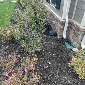 Flower Bed Weeding by TrimTime reviewed on August 4, 2025