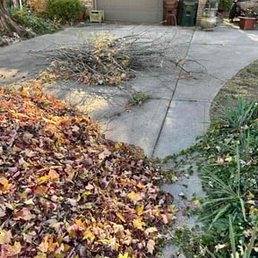 Leaf Removal by Inspo Lawncare reviewed on May 13, 2022