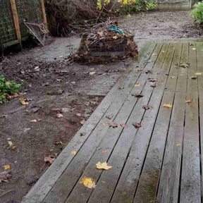 Leaf Removal by John Taylor reviewed on May 26, 2022