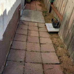 Cleanups by LSLTDallas/FortWorthTruGreen reviewed on June 25, 2025