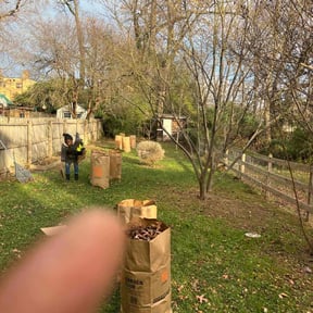 Leaf Removal by Sandra Gutierrez reviewed on May 29, 2022