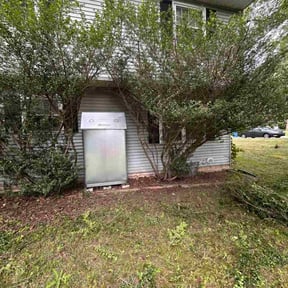 Bush Trimming by Mos Landscaping Service reviewed on June 27, 2022