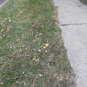 Leaf Removal by WBG Lawn Solutions reviewed on July 14, 2025