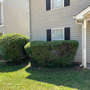 Bush Trimming by TruGreen LawnCare reviewed on April 23, 2025