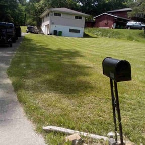 Cleanups by Newcomb's Lawn Service reviewed on July 21, 2022
