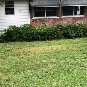 Landscaping by Leon's Lawns &amp; Home Improvements reviewed on July 18, 2025