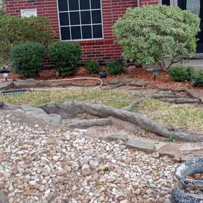 Leaf Removal by All Scapes Property Maintenance reviewed on March 25, 2025
