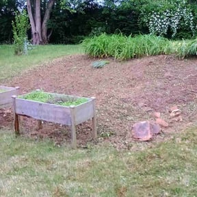 Cleanups by D's Lawn Care reviewed on July 11, 2022
