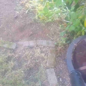 Flower Bed Weeding by We do it all llc reviewed on May 2, 2025