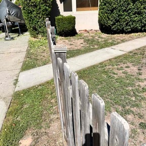 Bush Trimming by TruGreen LawnCare reviewed on May 27, 2025