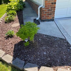 Flower Bed Weeding by Walsh Landscape - Irrigation reviewed on June 23, 2022