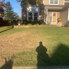 Leaf Removal by Greenblade Mowing reviewed on November 6, 2024
