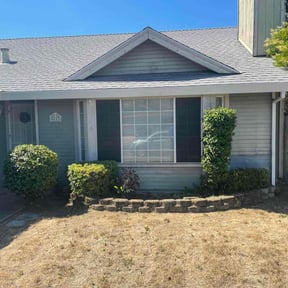 Bush Trimming by Aee handymany services reviewed on November 30, 2024