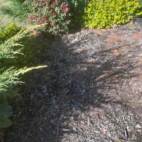 Flower Bed Weeding by TruGreen LawnCare reviewed on March 24, 2025