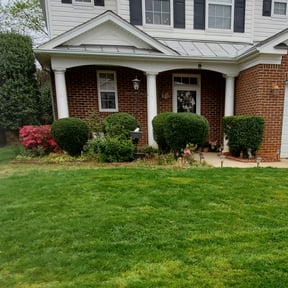 Bush Trimming by Electric Cut Lawn Care LLC reviewed on December 20, 2024
