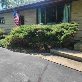 Cleanups by Livery Services LTD, llc reviewed on July 1, 2022