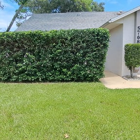 Bush Trimming by Cutting Edge reviewed on May 12, 2022