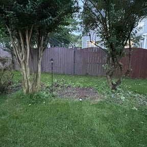 Bush Trimming by Pepperseed Professional Outdoor Services reviewed on July 20, 2020